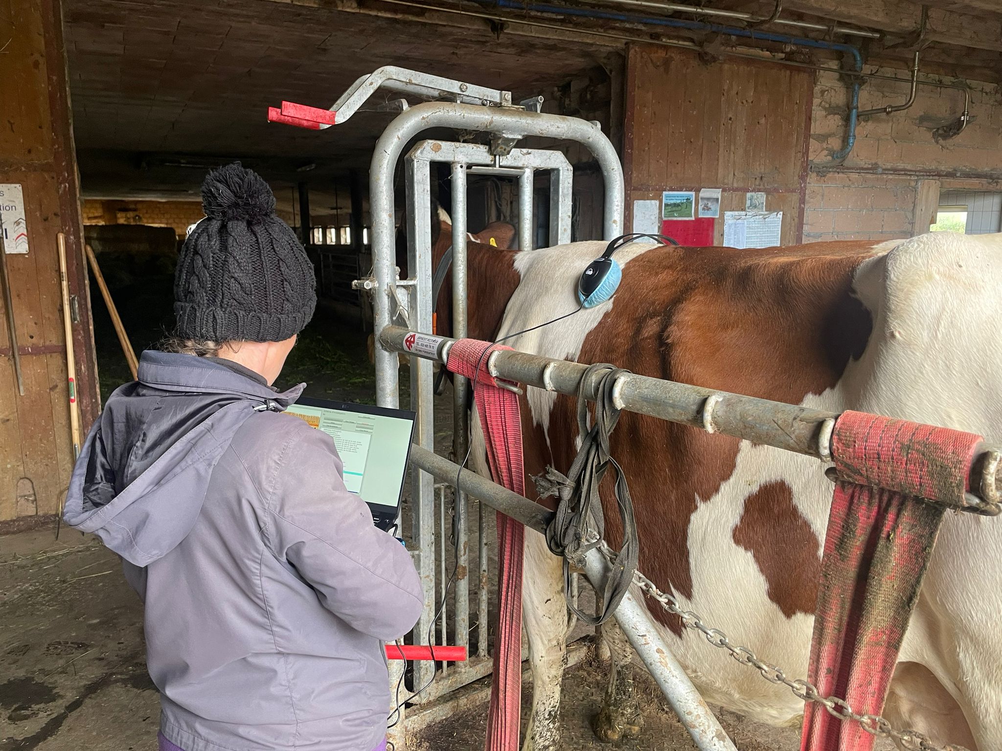 Test-biorésonance_animale